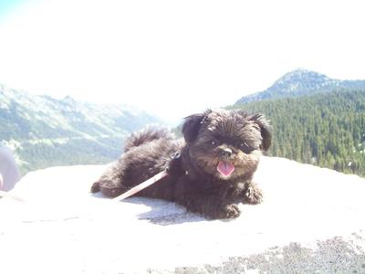 Kiddo at Mt Rainier, WA