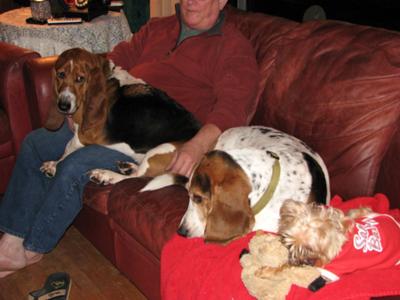 Our three rescues waiting on the couch for their treats to finish in the oven.